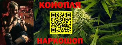 стаф Новозыбков