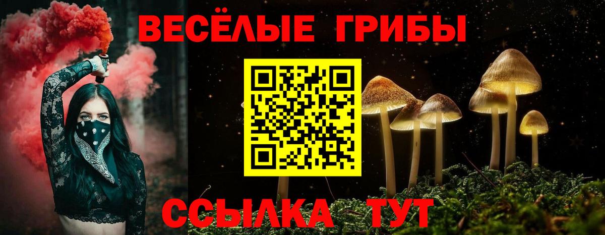 Псилоцибиновые грибы ЛСД Торжок